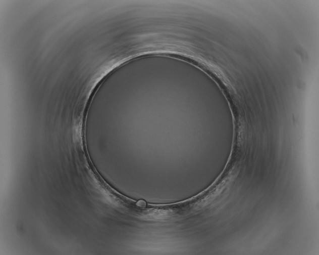 X0000115091513200911101513