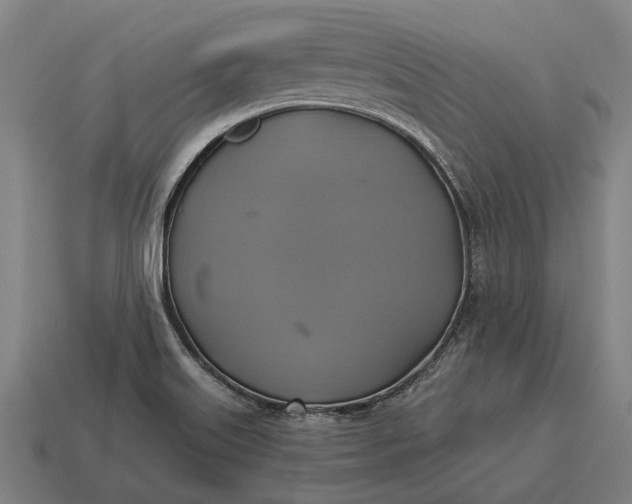 X0000115091515200911101513