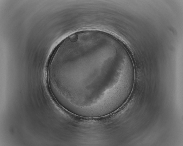 X0000115091517200911101513
