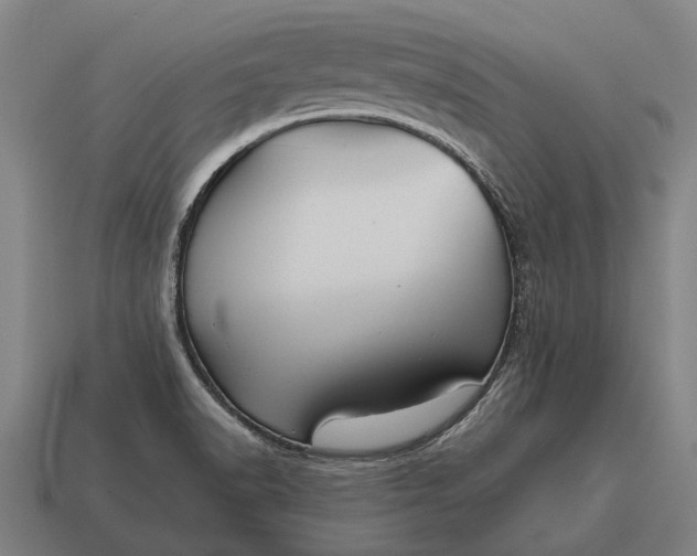 X0000115091518200911101513