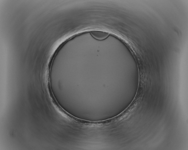 X0000115091519200911101513