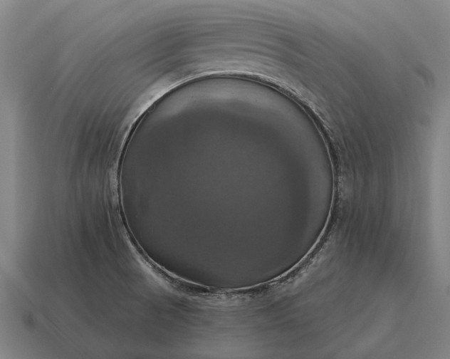 X0000115091521200911101513