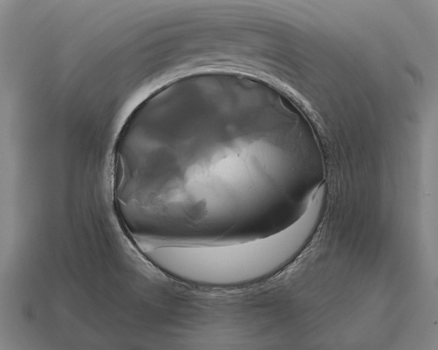 X0000115091522200911101513