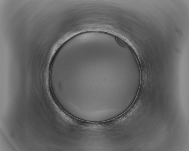 X0000115091525200911101513