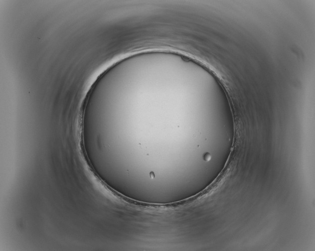 X0000115091526200911101513