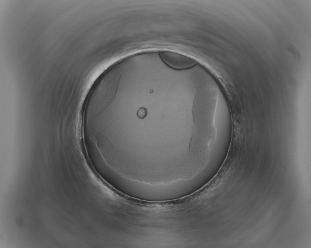 X0000115091527200911101513
