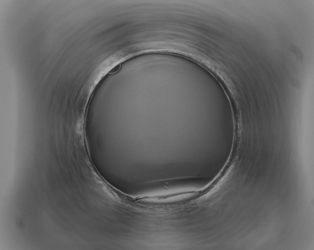 X0000115091529200911101513