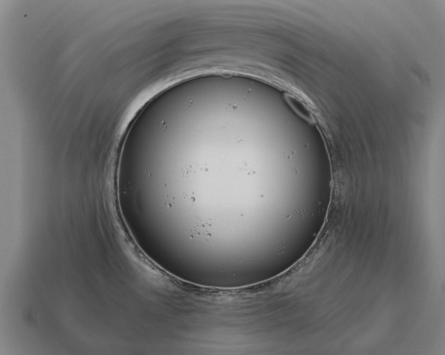 X0000115091530200911101513