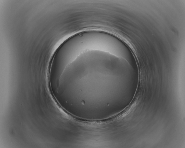 X0000115091533200911101513