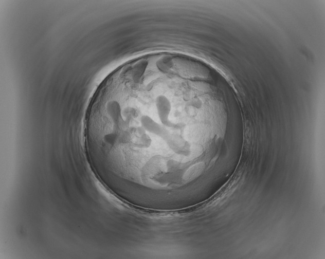 X0000115091535200911101513
