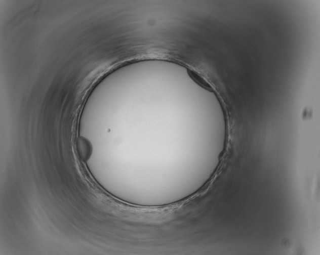 X0000115090001200911171228
