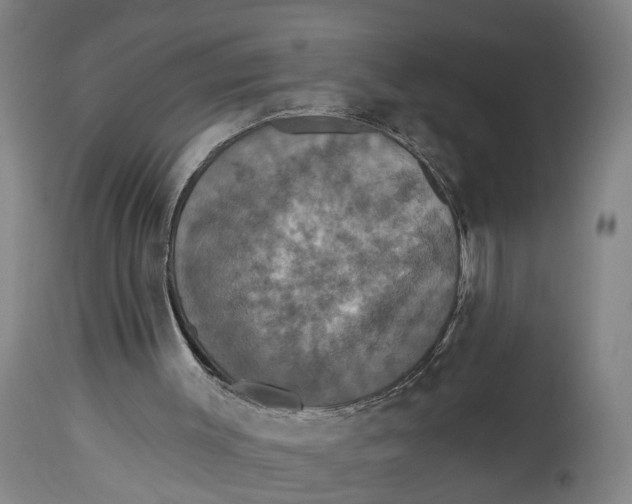 X0000115090003200911171228