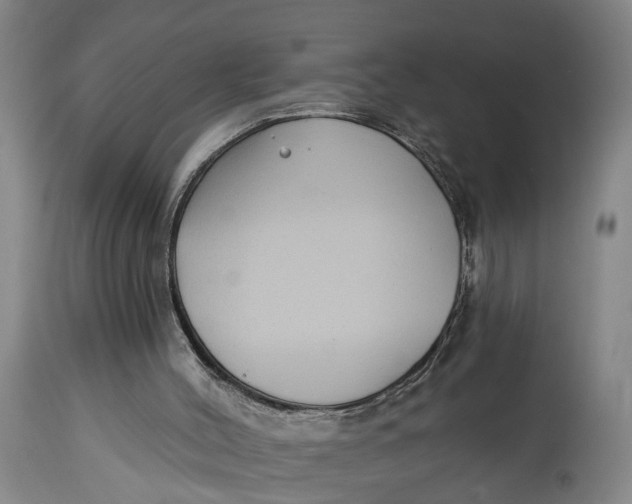 X0000115090004200911171228