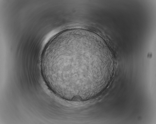 X0000115090006200911171228