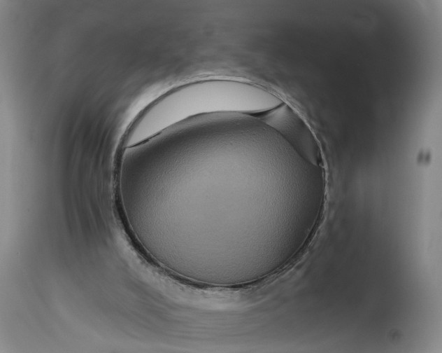 X0000115090008200911171228