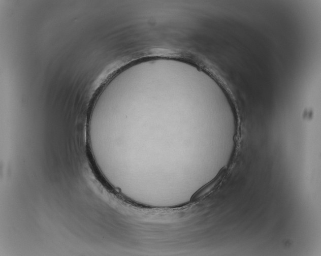 X0000115090011200911171227