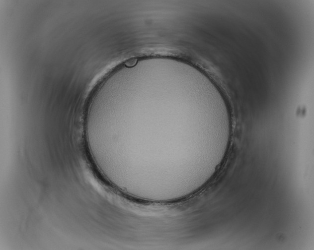 X0000115090012200911171227