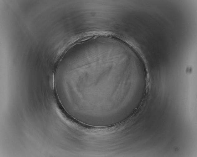 X0000115090013200911171227
