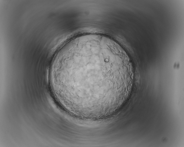 X0000115090014200911171227