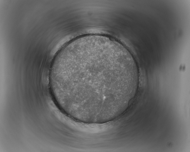 X0000115090015200911171227