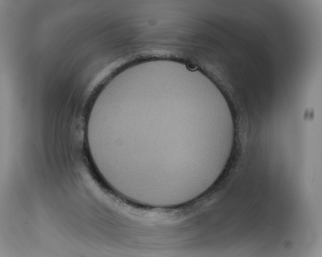 X0000115090016200911171227