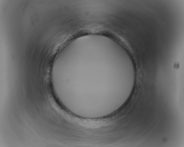 X0000115090018200911171227