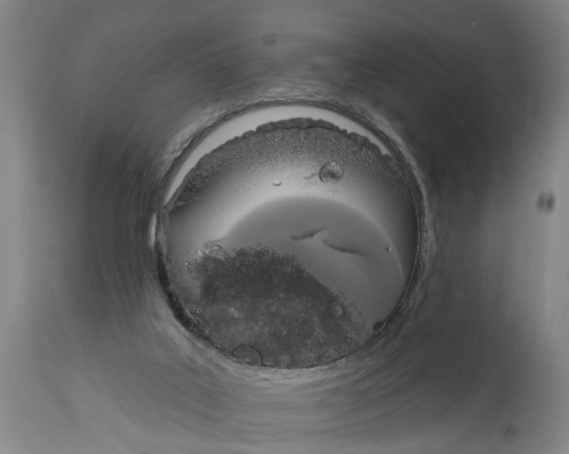 X0000115090019200911171227