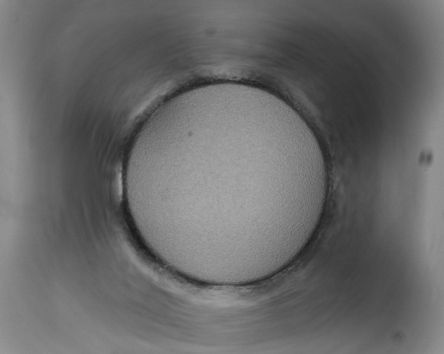 X0000115090020200911171227