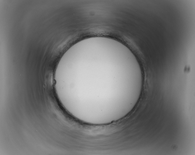 X0000115090021200911171227