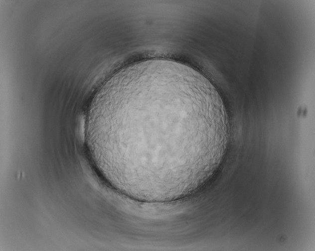 X0000115090022200911171227