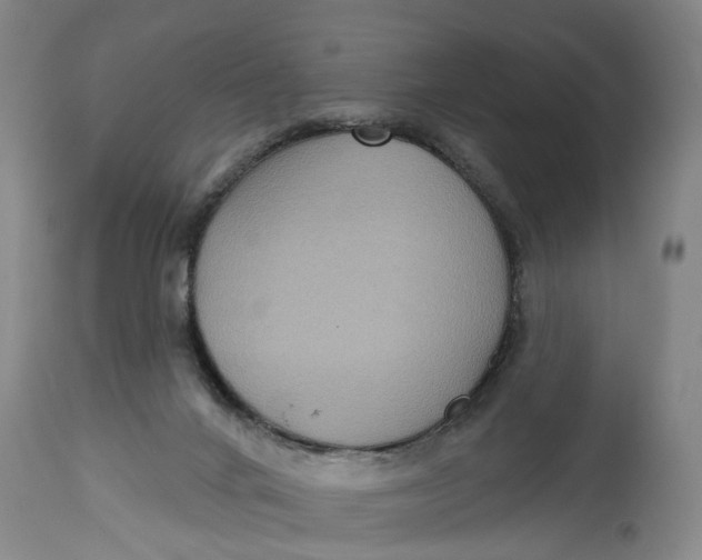 X0000115090024200911171227