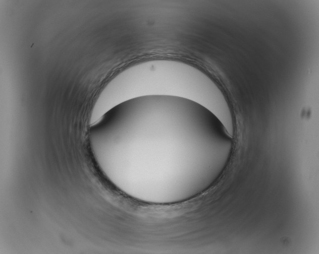 X0000115090025200911171227