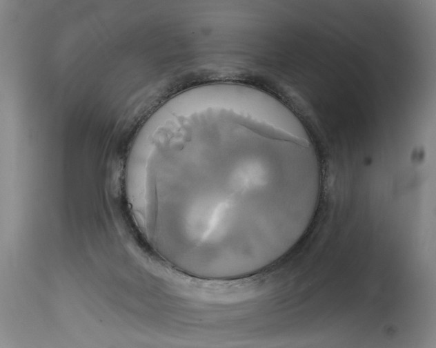 X0000115090026200911171227