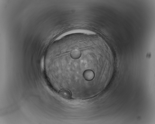X0000115090028200911171227