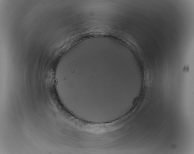 X0000115090029200911171227
