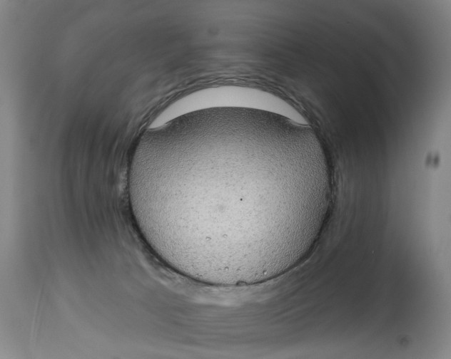 X0000115090033200911171227