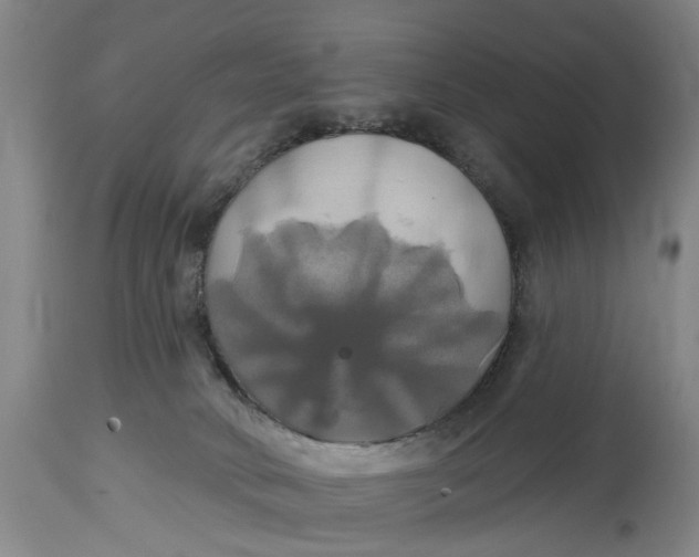 X0000115090034200911171227