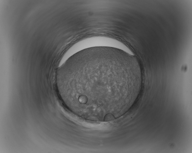 X0000115090036200911171227