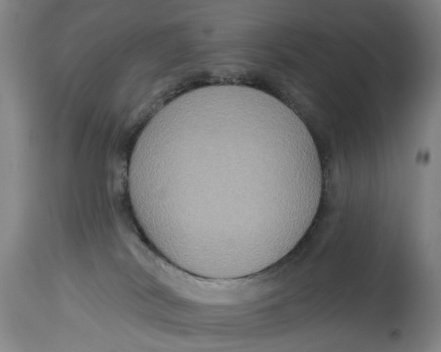 X0000115090038200911171227