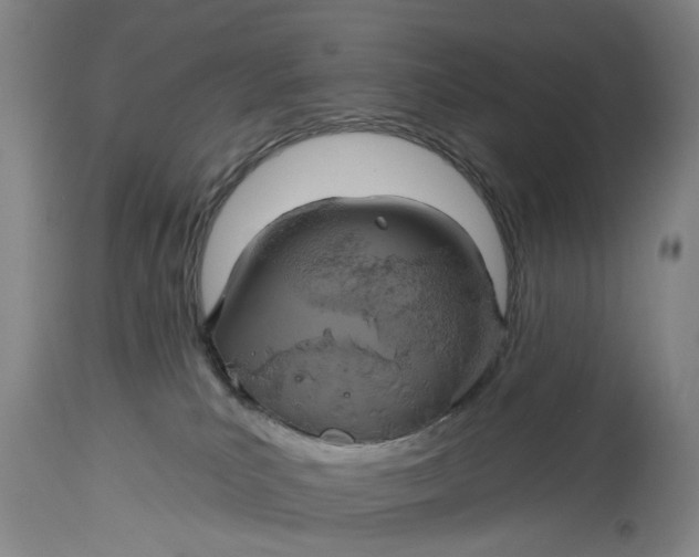 X0000115090039200911171227