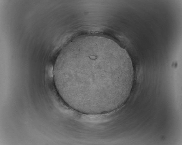 X0000115090041200911171227