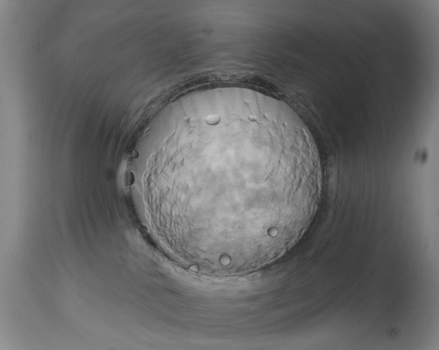 X0000115090042200911171227