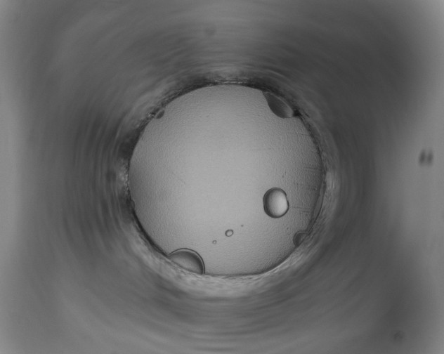 X0000115090048200911171227