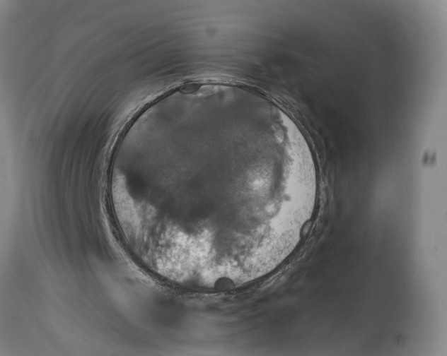X0000115090049200911171226