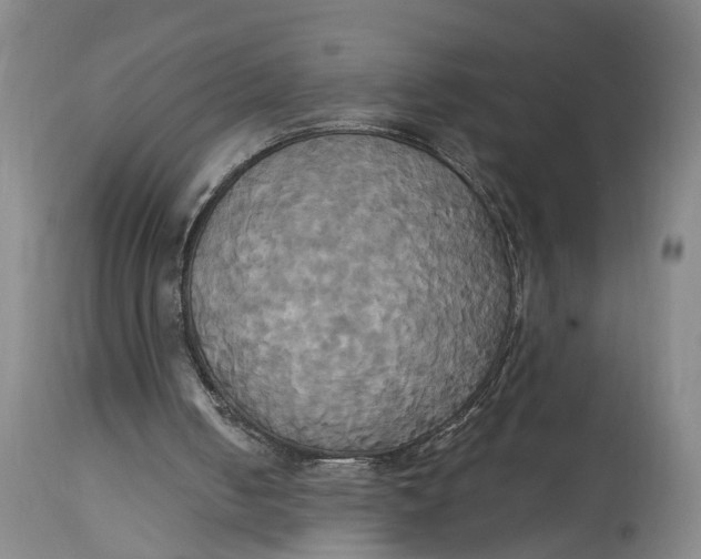 X0000115090050200911171226