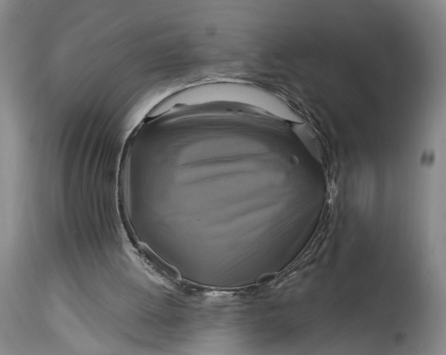 X0000115090052200911171226