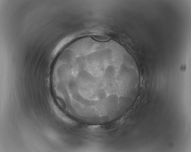 X0000115090054200911171226