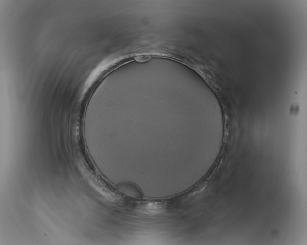 X0000115090056200911171226