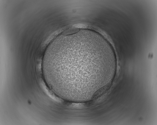 X0000115090057200911171226