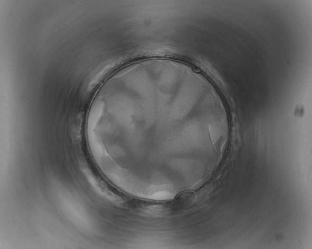 X0000115090058200911171226